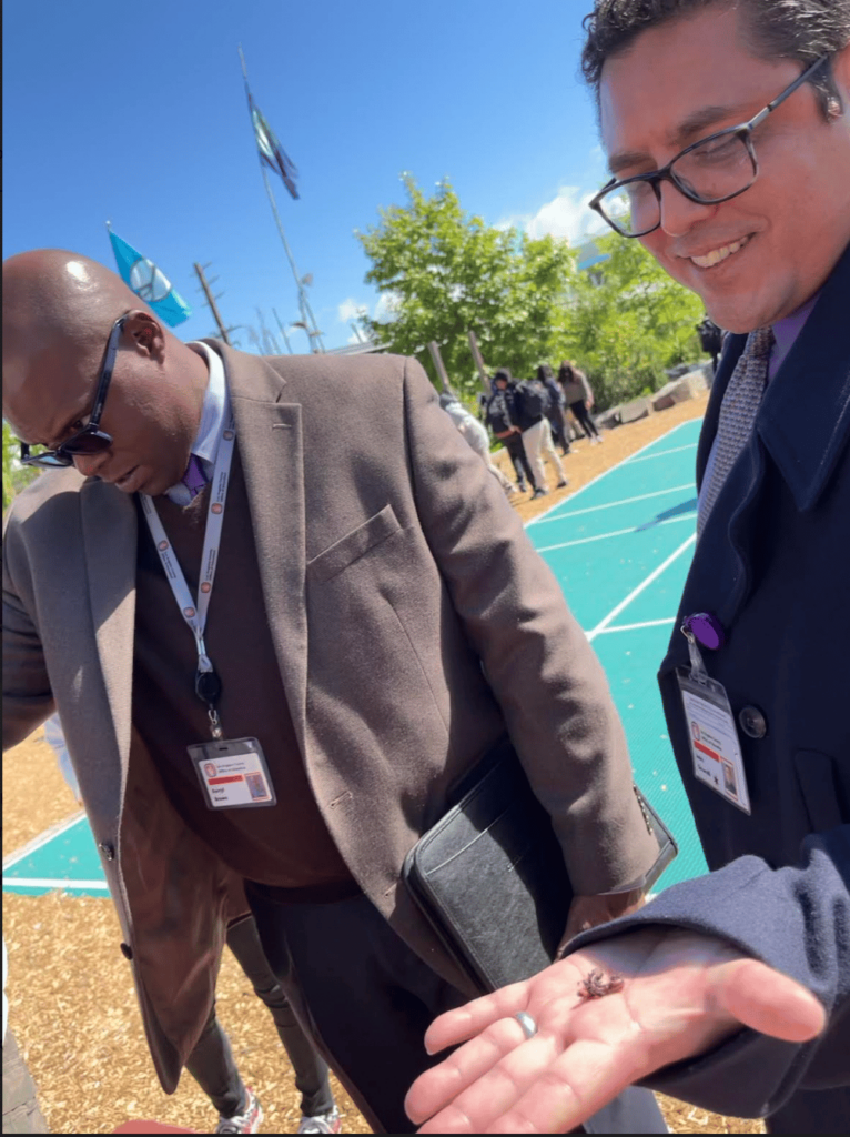 Los Angeles County Office Of Education Builds A Model For Authorizer los-angeles-county-office-of-education-builds-a-model-for-authorizer