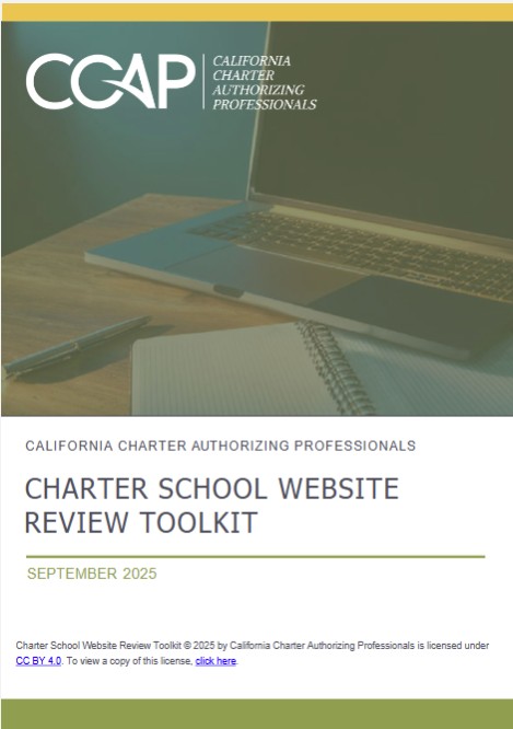 Website Review Toolkit