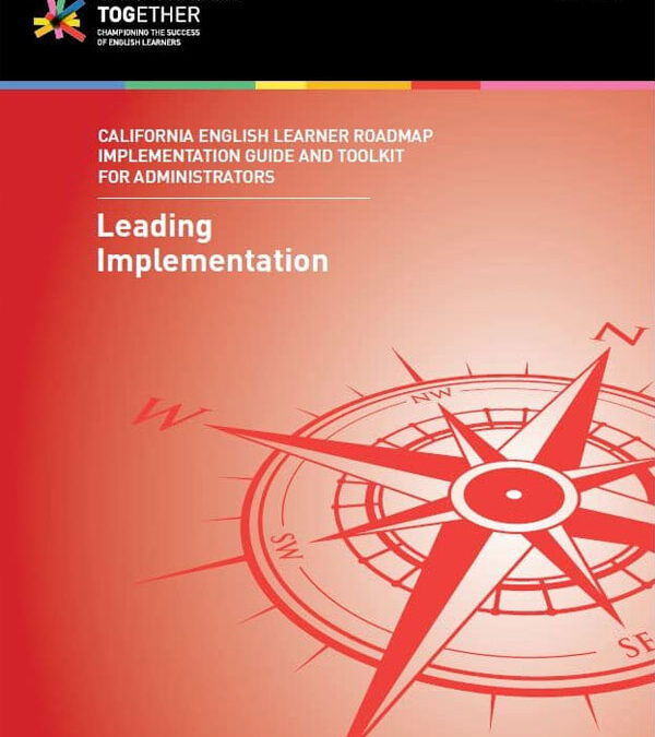 Volume 1: Leading Implementation